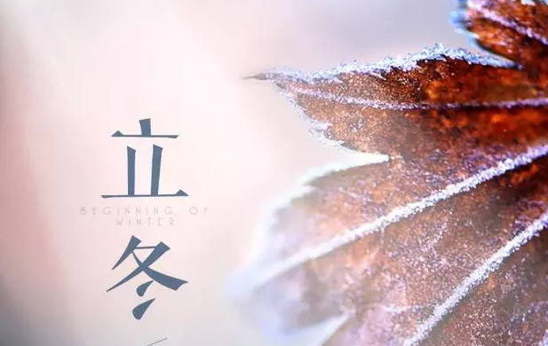 立冬已至，夏秋已逝